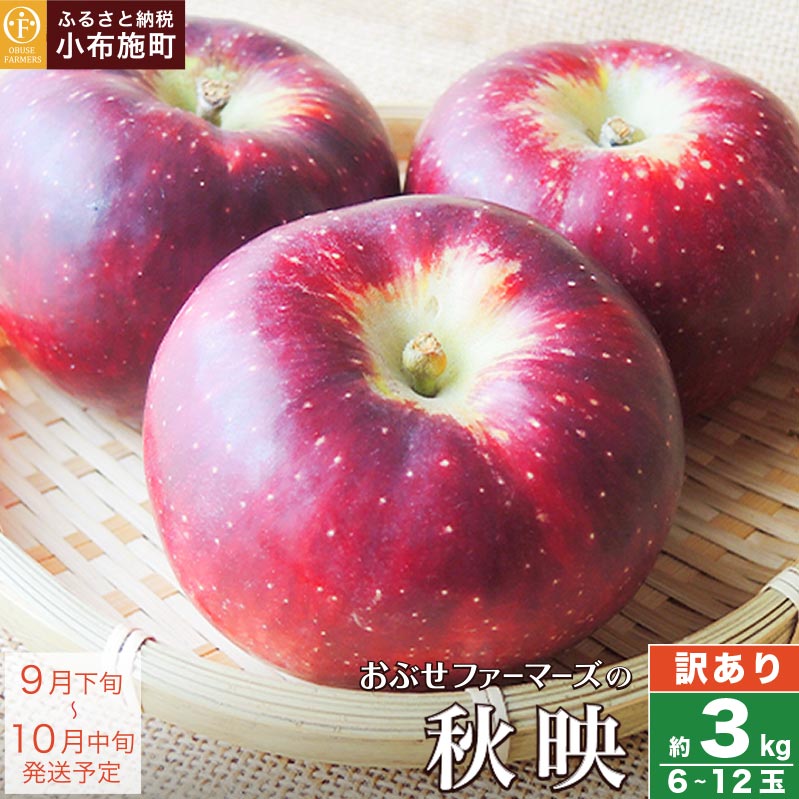 【訳あり】 秋映 約3kg 6～12玉 ［おぶせファーマーズ］ 不揃い 規格外 家庭用 りんご 林檎 リンゴ 果物 フルーツ 長野県産 信州産 先行予約 数量限定 6000円 令和8年産 【2026年9月下旬～10月中旬発送】
