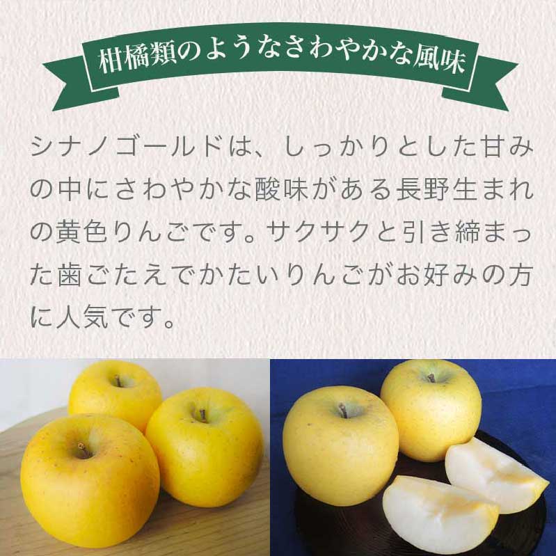 【ふるさと納税】【訳あり】 シナノゴールド 約3kg 6～12玉 ［おぶせファーマーズ］ 不揃い 規格外 家庭用 りんご 林檎 リンゴ 果物 フルーツ ふじ 長野 信州 数量限定 6000円 令和7年産 【2025年10月中旬〜2026年1月上旬発送】 サムネイル3