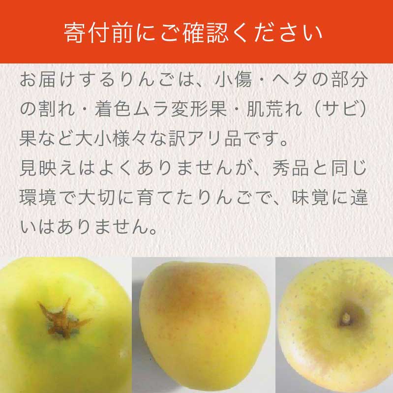 【ふるさと納税】【訳あり】 シナノゴールド 約3kg 6～12玉 ［おぶせファーマーズ］ 不揃い 規格外 家庭用 りんご 林檎 リンゴ 果物 フルーツ ふじ 長野 信州 数量限定 6000円 令和7年産 【2025年10月中旬〜2026年1月上旬発送】 サムネイル2