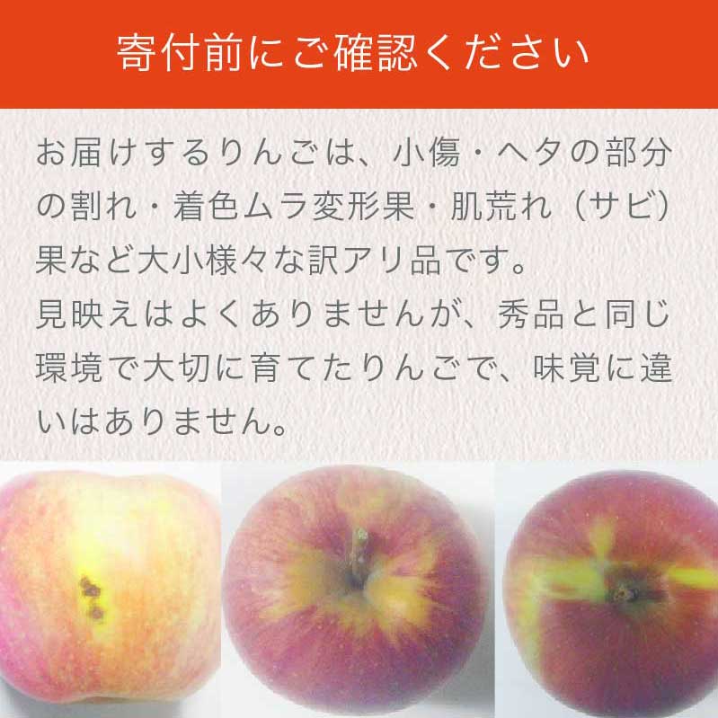 【ふるさと納税】【訳あり】 シナノスイート 約3kg 6～12玉 ［おぶせファーマーズ］ 不揃い 規格外 家庭用 りんご 林檎 リンゴ 果物 フルーツ 長野県産 信州産 先行予約 数量限定 6000円 令和8年産 【2026年10月中旬〜11月上旬発送】 - 画像2