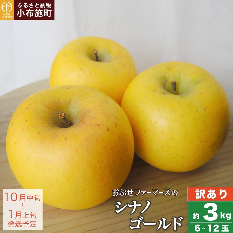 【訳あり】 シナノゴールド 約3kg 6～12玉 ［おぶせファーマーズ］ 不揃い 規格外 家庭用 りんご 林檎 リンゴ 果物 フルーツ ふじ 長野 信州 数量限定 6000円 令和7年産 【2025年10月中旬〜2026年1月上旬発送】