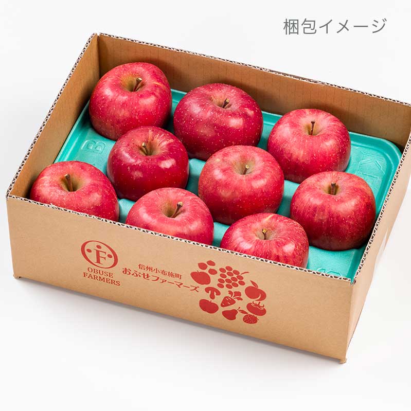 【ふるさと納税】【訳あり】 サンふじ 選べる内容量 約3kg 6～12玉 約5kg 11～18玉 約10kg 26～40玉 ［おぶせファーマーズ］ 果物 フルーツ りんご 不揃い 規格外 家庭用 林檎 リンゴ ふじ 長野県 信州 数量限定 令和7年産 【2025年11月中旬〜2026年2月下旬発送】 サムネイル3