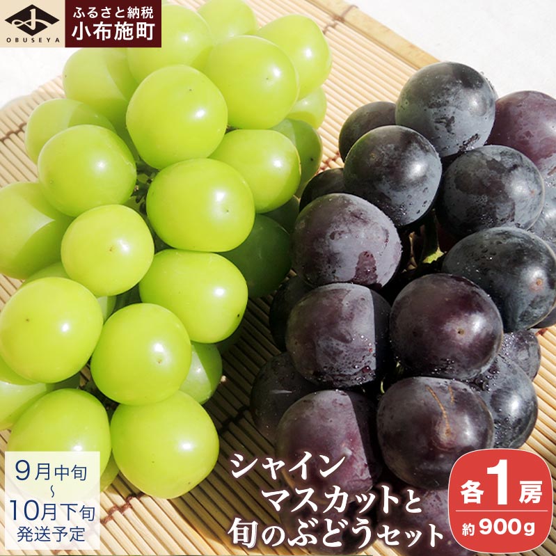 シャインマスカットと旬のぶどう 詰め合わせ 各1房 約900g［小布施屋］ 食べ比べ 果物 詰合せ セット フルーツ ぶどう 詰合せ 数量限定 先行予約 長野県産 信州産 2種 くだもの フルーツセット おまかせ ブドウ 令和8年産 【2026年9月中旬～10月下旬発送】