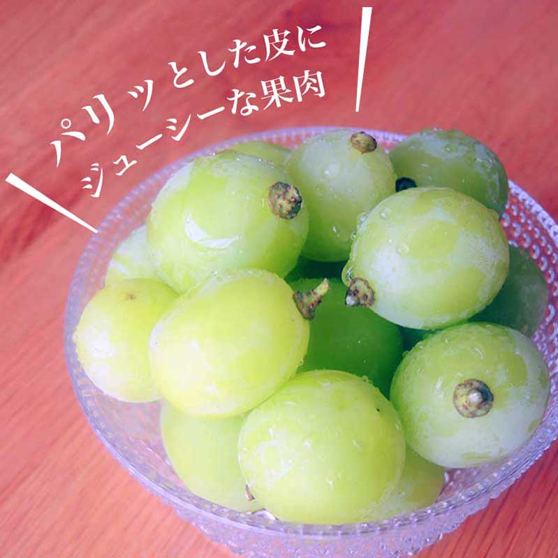【ふるさと納税】蔵出し冬のシャインマスカット 約600g 約760g 約1kg 約1.3kg 約2kg ［小布施屋］ぶどう フルーツ 果物 くだもの 長野県 先行予約 冷蔵便 クール便 産地直送 令和7年産【2025年11月中旬～2026年2月発送】 サムネイル3