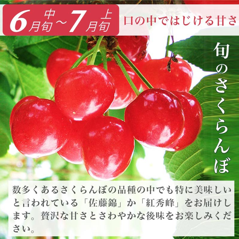 【ふるさと納税】［4回定期便］ 信州フルーツ4回コース ［小布施屋］定期便 先行予約 フルーツ 数量限定 さくらんぼ 白桃 ネクタリン シャインマスカット ぶどう クール便 冷蔵 お楽しみ 長野県産 信州産 令和8年産【2026年6月中旬～11月発送】 - 画像3