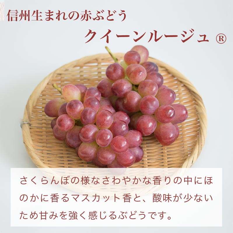 【ふるさと納税】シャインマスカット＆クイーンルージュ® 約1kg 約2kg 選べる内容量 ［小布施屋］ぶどう 食べ比べ フルーツ 果物 くだもの 葡萄 ブドウ クール便 冷蔵 お楽しみ 長野県産 信州産 令和7年産 【2025年9月下旬～11月上旬発送】 - 画像2
