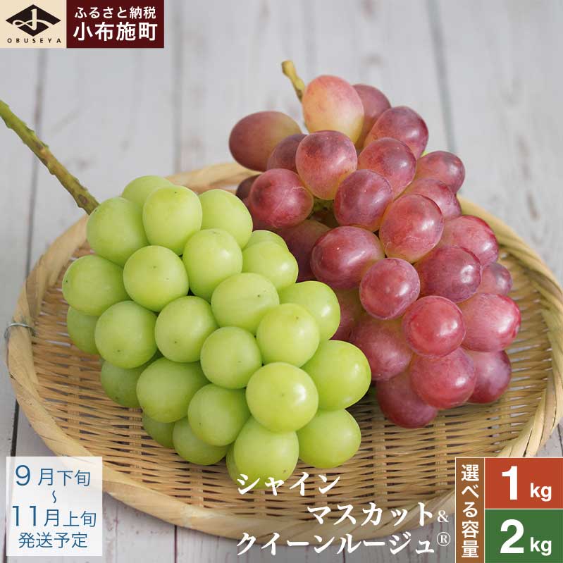 シャインマスカット＆クイーンルージュ® 約1kg 約2kg 選べる内容量 ［小布施屋］ぶどう 食べ比べ フルーツ 果物 くだもの 葡萄 ブドウ クール便 冷蔵 お楽しみ 長野県産 信州産 令和8年産 【2026年9月下旬～11月上旬発送】