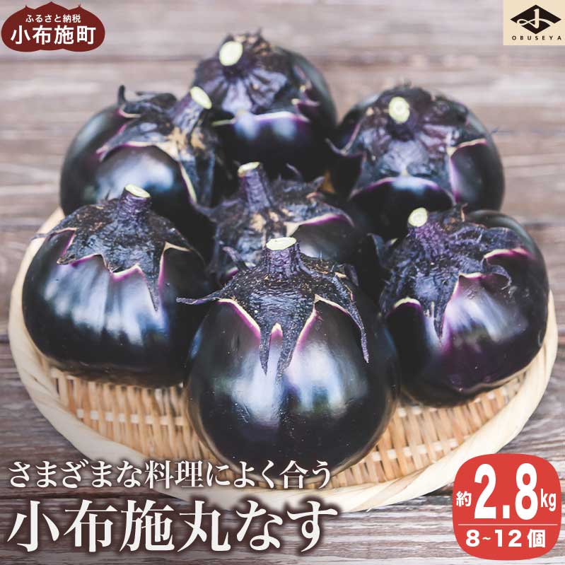 小布施丸なす 約2.8kg 8～12個［小布施屋］茄子 ナス 信州 伝統野菜 やさい 長野県産 お取り寄せグルメ 数量限定 期間限定 令和8年産 【2026年8月～10月上旬発送】