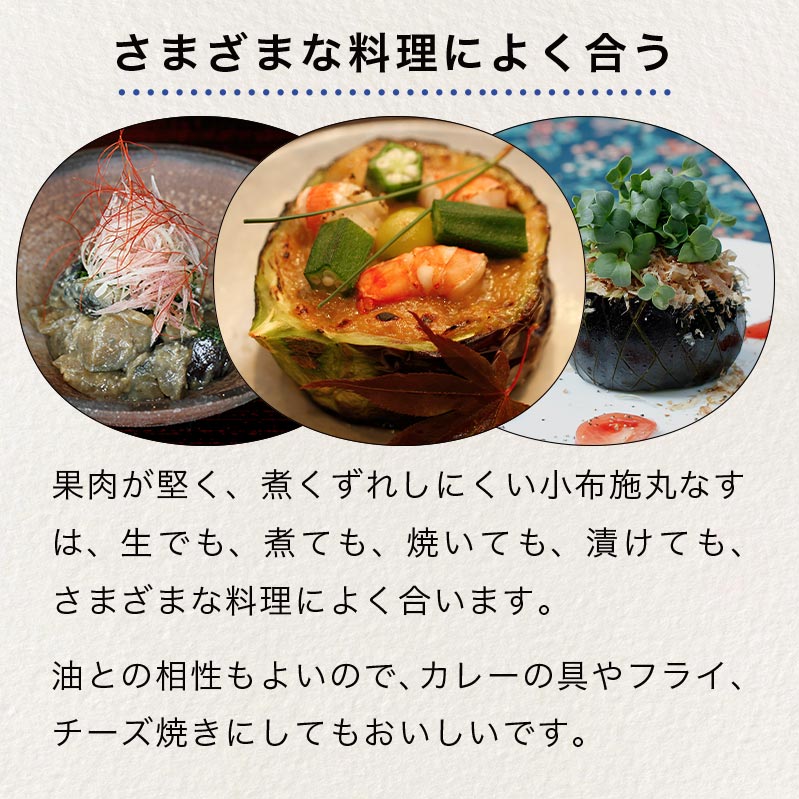 【ふるさと納税】小布施丸なす 約2.8kg 8～12個［小布施屋］茄子 ナス 信州 伝統野菜 やさい 長野県産 お取り寄せグルメ 数量限定 期間限定 令和8年産 【2026年8月～10月上旬発送】 - 画像3