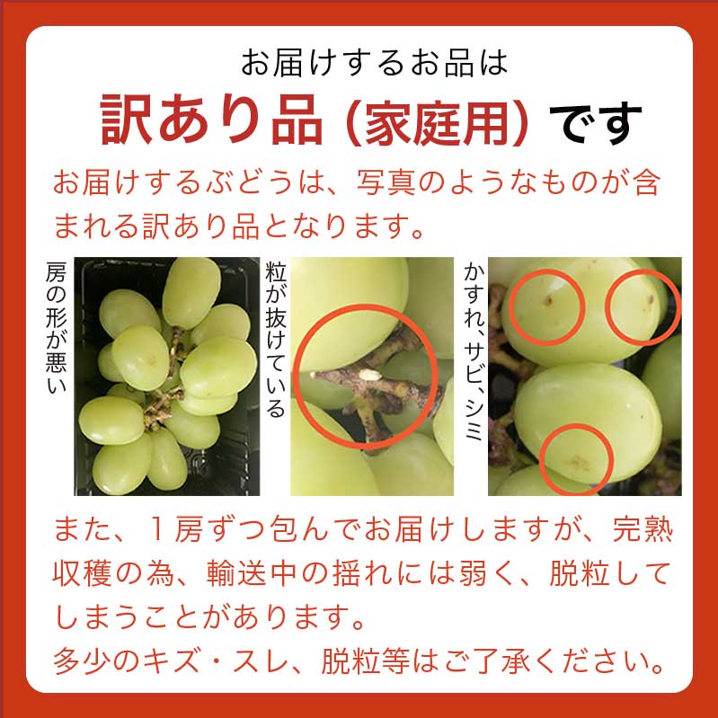 【ふるさと納税】【訳あり】シャインマスカット 約1.2kg 2～3房 & 約1.6kg 3～5房 ［小布施屋］数量限定 期間限定 家庭用 規格外 不揃い 傷 果物 フルーツ ぶどう 葡萄 ブドウ クール便 冷蔵便 生産者応援 支援品 長野県産 信州産 令和7年産【2025年9月中旬～11月下旬発送】 サムネイル3