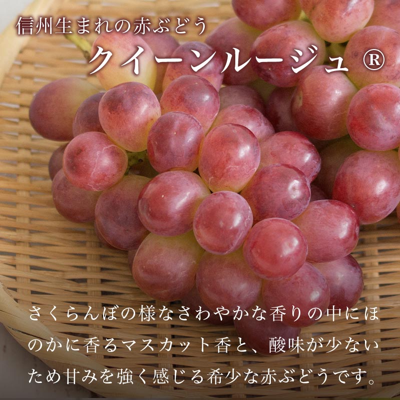 【ふるさと納税】冬のシャインマスカット＆クイーンルージュ® 約1kg 各1房 ［小布施屋］フルーツ 果物 くだもの ぶどう 葡萄 ブドウ クール便 冷蔵 お楽しみ 長野県産 信州産 年内発送 令和7年産 【2025年11月中旬～12月下旬発送】 サムネイル3