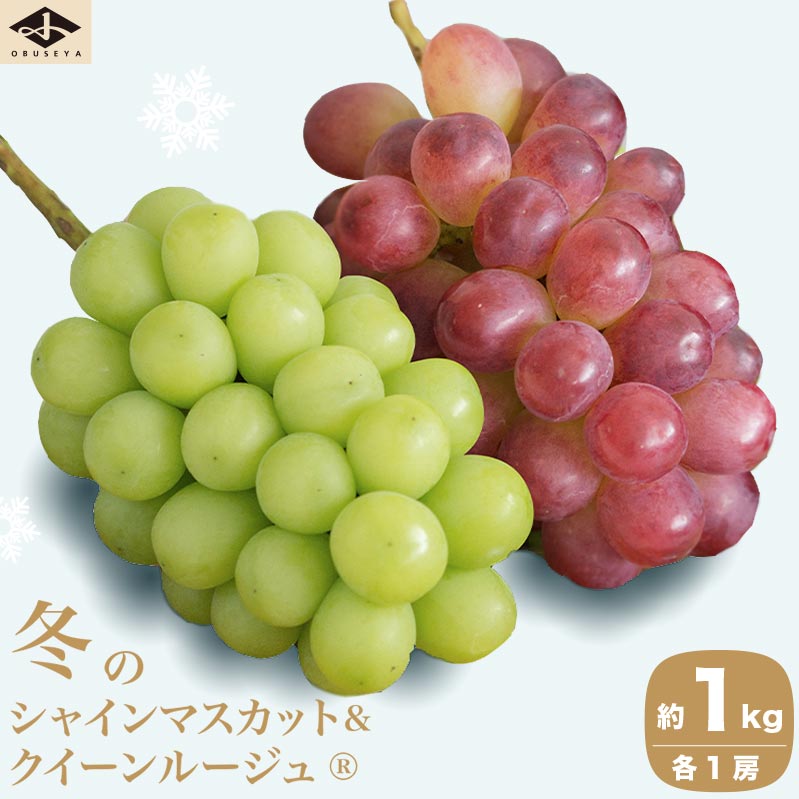 冬のシャインマスカット＆クイーンルージュ® 約1kg 各1房 ［小布施屋］フルーツ 果物 くだもの ぶどう 葡萄 ブドウ クール便 冷蔵 お楽しみ 長野県産 信州産 年内発送 令和7年産 【2025年11月中旬～12月下旬発送】