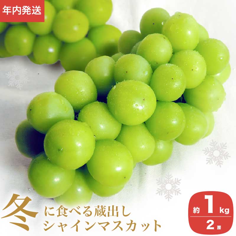 ［年内発送］ 蔵出し冬のシャインマスカット 2房 ［小布施屋］ ぶどう フルーツ 果物 くだもの 長野県 先行予約 冷蔵便 クール便 産地直送 令和7年産【2025年12月発送】