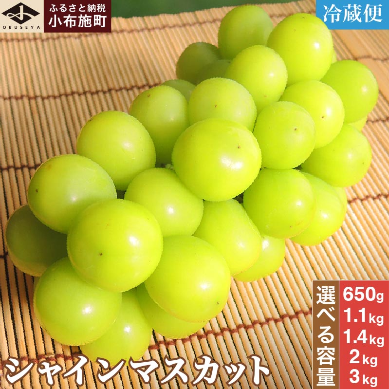 シャインマスカット 約650g 約1.1kg 約1.4kg 約2kg 約3kg 選べる内容量［小布施屋］ フルーツ 果物 くだもの ぶどう 葡萄 ブドウ 数量限定 クール便配送 長野県産 産地直送 先行予約 送料無料 2025年発送 令和7年産 【2025年9月20日頃～11月上旬に順次発送】