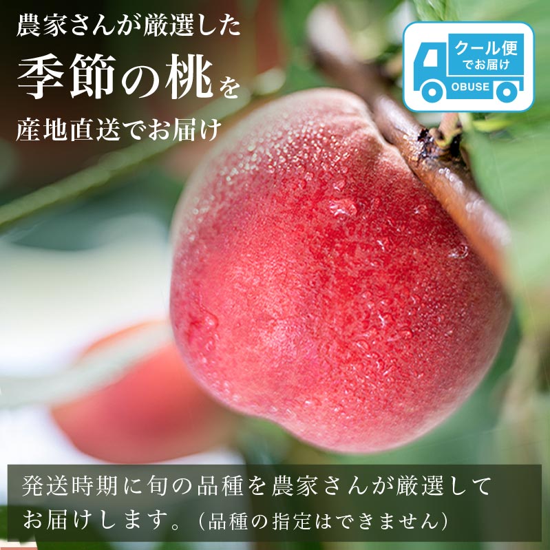 【ふるさと納税】桃 もも 季節の桃 約2kg 約3kg 約5kg 選べる 内容量［ おぶせファーマーズ ］ モモ ピーチ フルーツ 果物 あかつき 川中島白鳳 なつっこ 川中島白桃 黄金桃 だて白桃 先行予約 長野県産 クール便 冷蔵便 産地直送 令和8年産【2026年7月中旬～9月中旬発送】 - 画像2