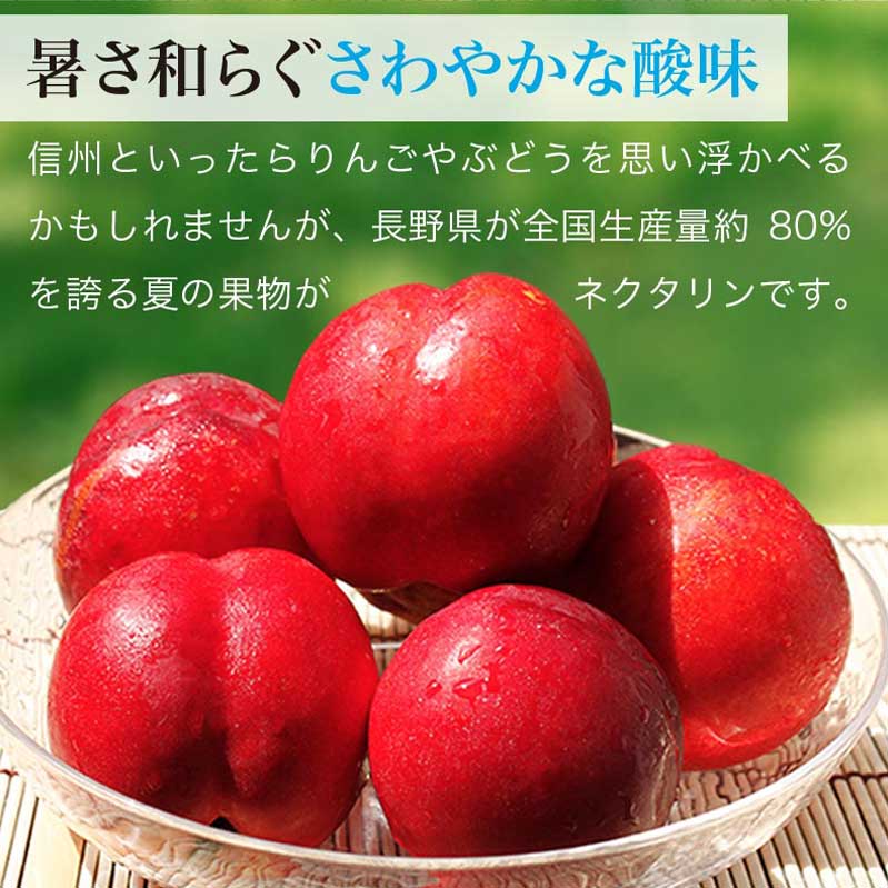 【ふるさと納税】旬のネクタリン 約1.8kg 約2.8kg 選べる 内容量 ［小布施屋］果物 フルーツ 桃 もも 長野県産 小布施 冷蔵便 クール便 産地直送 数量限定 送料無料 令和8年産【2026年7月上旬～9月上旬発送】 - 画像2