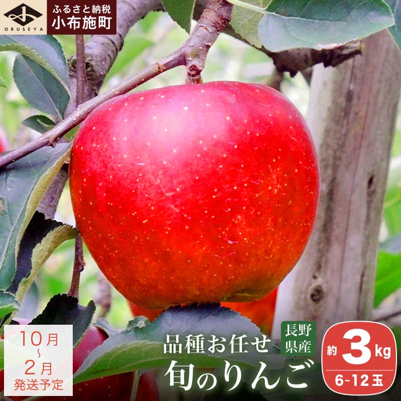 長野県産 旬のりんご 約3kg 6～12玉 ［小布施屋］ りんご 林檎 リンゴ 果物 フルーツ 信州産 特産 産地直送 産直 数量限定 お任せ お楽しみ 秋映 シナノスイート シナノゴールド シナノホッペ サンふじ 令和7年産 【2025年10月～2026年2月発送】