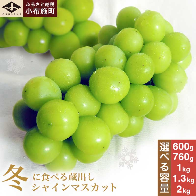 蔵出し冬のシャインマスカット 約600g 約760g 約1kg 約1.3kg 約2kg ［小布施屋］ぶどう フルーツ 果物 くだもの 長野県 先行予約 冷蔵便 クール便 産地直送 令和7年産【2025年11月中旬～2026年2月発送】