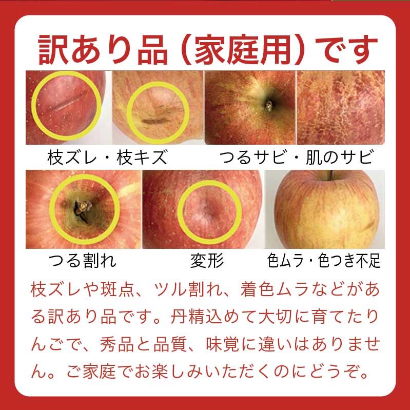 【ふるさと納税】 【訳あり】 選べる配送時期 旬のりんご 約3kg 6～14玉 ［小布施屋］ 傷 規格外 訳アリ 家庭用 りんご 林檎 リンゴ 果物 フルーツ 長野県産 信州産 産地直送 数量限定 先行予約 10月 11月 12月 1月 2月 3月 4月発送 令和7年産 【2025年10月～2026年4月配送】 サムネイル2