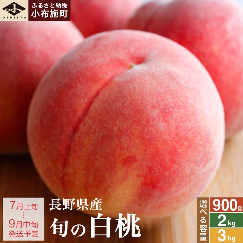 先行予約 桃 厳選 旬の白桃 約900g 約2kg 約3kg 選べる 内容量 ［小布施屋］ 長野県産 白桃 もも モモ フルーツ 果物 長野県産 信州産 クール便 冷蔵便 たまき なつき あかつき 川中島白鳳 川中島白桃など 令和8年産 【2026年7月上旬～9月中旬発送】