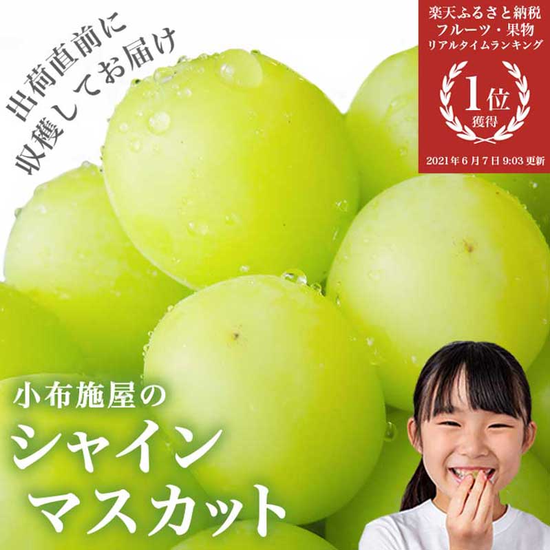 【ふるさと納税】シャインマスカット 約650g 約1.1kg 約1.4kg 約2kg 約3kg 選べる内容量［小布施屋］ フルーツ 果物 くだもの ぶどう 葡萄 ブドウ 数量限定 クール便配送 長野県産 産地直送 先行予約 送料無料 2025年発送 令和7年産 【2025年9月20日頃～11月上旬に順次発送】 サムネイル2