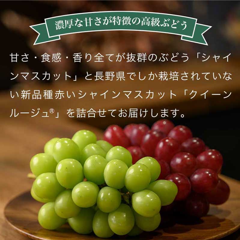 【ふるさと納税】冬に食べるクイーンルージュ®＆シャインマスカット詰合せ 各1房 約1kg ［おぶせファーマーズ］ ぶどう セット 食べ比べ 2種 各 1房 葡萄 ブドウ 果物 フルーツ令和7年産 【2025年11月中旬～12月中旬発送】 サムネイル2