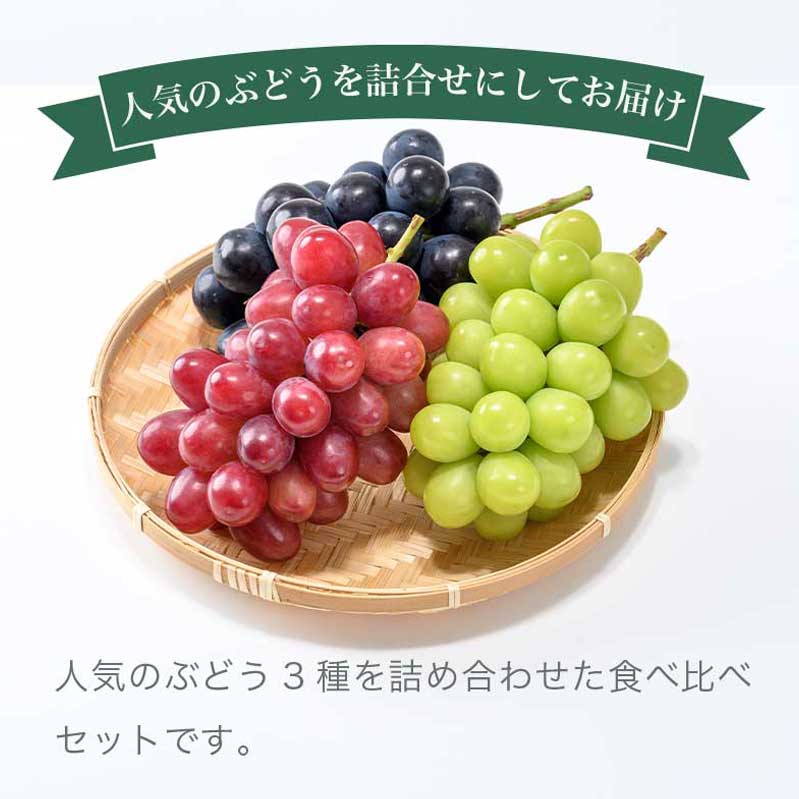 【ふるさと納税】冬に食べるぶどうぶどう3姉妹® シャインマスカット ＆ ナガノパープル ＆ クイーンルージュ® 詰合せ 各1房 約1.5kg [おぶせファーマーズ] 数量限定 果物 フルーツ ぶどう 葡萄 長野県産 信州産 クール便 食べ比べ 【2025年11月中旬〜12月中旬発送】 サムネイル2
