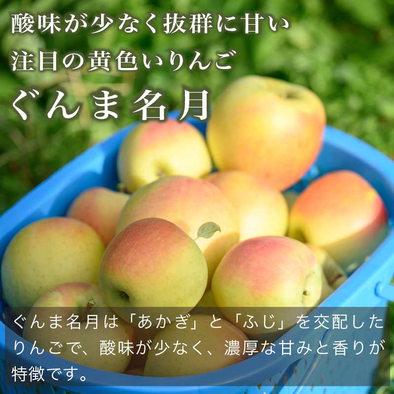 【ふるさと納税】【訳あり】先行受付 ぐんま名月 約3kg 6~12玉 ［ おぶせファーマーズ ］ 果物類 林檎 りんご リンゴ 規格外 不揃い 数量限定 フルーツ 長野県産 信州産 6000円 令和8年産 【2026年11月上旬～12月下旬発送】 - 画像2