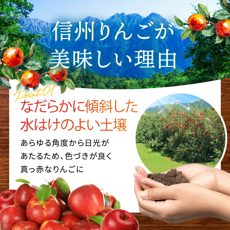 【ふるさと納税】【訳あり】 サンふじ 選べる内容量 約3kg 6～12玉 約5kg 10～23玉 約10kg 24～46玉 ［小布施屋］｜りんご 林檎 リンゴ 不揃い 規格外 果物 くだもの フルーツ 長野県 数量限定 生産者応援 支援 家庭用 令和7年産 【2026年4～5月発送】 - 画像2