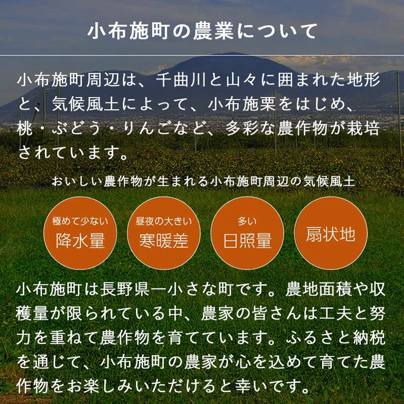 【ふるさと納税】 先行予約 だて白桃 約3kg 7～12玉 ［おぶせファーマーズ］硬い 桃 もも モモ 白桃 ピーチ フルーツ 果物 先行予約 数量限定 長野県産 信州産 クール便 冷蔵便 お取り寄せ 産地直送 令和8年産【2026年9月上旬～中旬発送】 - 画像3
