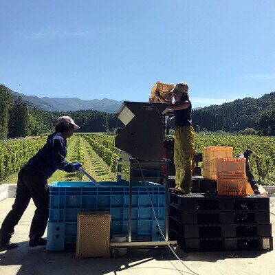 【ふるさと納税】信州たかやまワイナリーのなっちょ白ワイン・ロゼワイン2本セット【配送不可地域：離島】【1402298】 サムネイル2