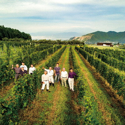 【ふるさと納税】信州たかやまワイナリーのなっちょ白ワイン・ロゼワイン2本セット【配送不可地域：離島】【1402298】 サムネイル3