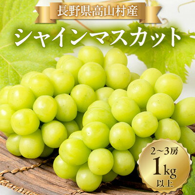 シャインマスカット2～3房(1kg以上)【配送不可地域：離島・北海道・沖縄県】【1404280】