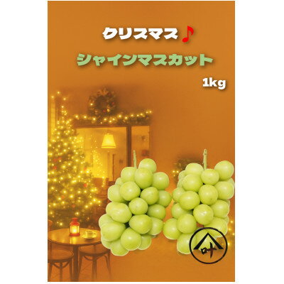 【2025年12月下旬発送予定】シャインマスカット 計1kg【配送不可地域：離島】【1680581】