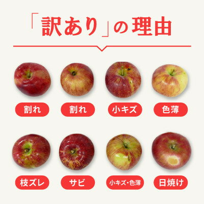 【ふるさと納税】【2026年先行予約】日本で最も美しい村ー信州高山村ー　旬のりんご約5kg入り【訳あり品】【1696077】 - 画像2