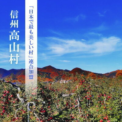 【ふるさと納税】【2026年先行予約】日本で最も美しい村ー信州高山村ー　旬のりんご約5kg入り【訳あり品】【1696077】 - 画像3