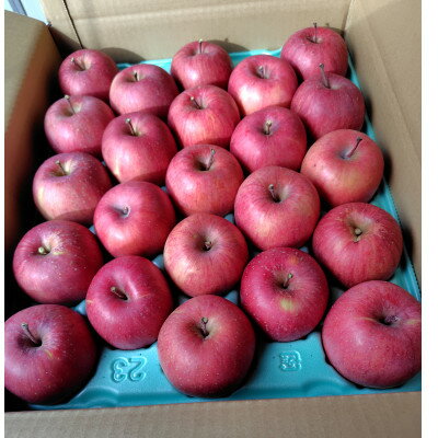 【ふるさと納税】【完熟】サンふじ家庭用りんご 5kg【長野県高山村産】【1698338】 - 画像2