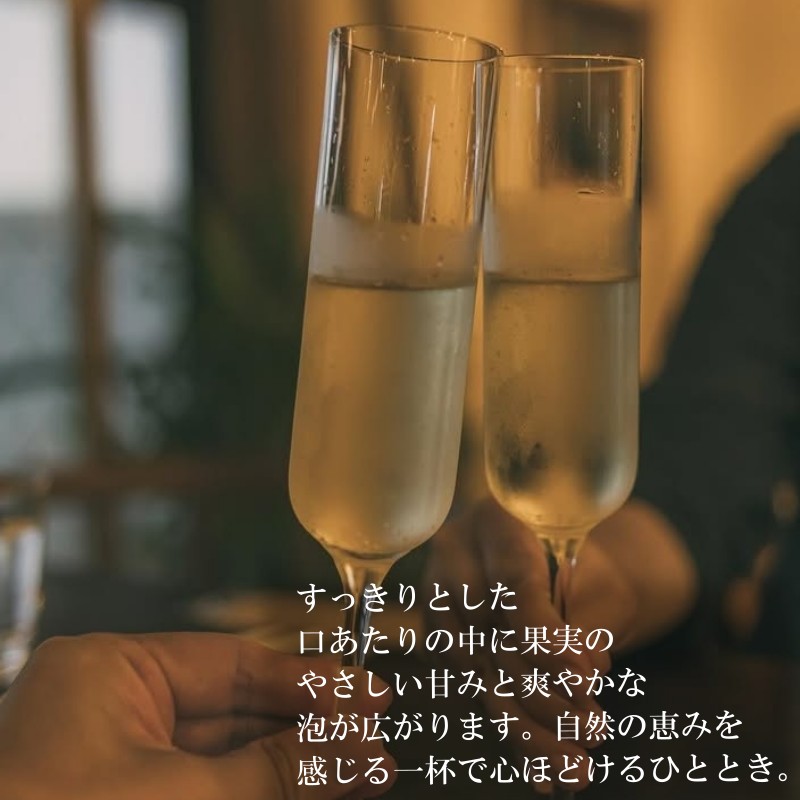 【ふるさと納税】269＊リンゴのシードル2本セット サムネイル3