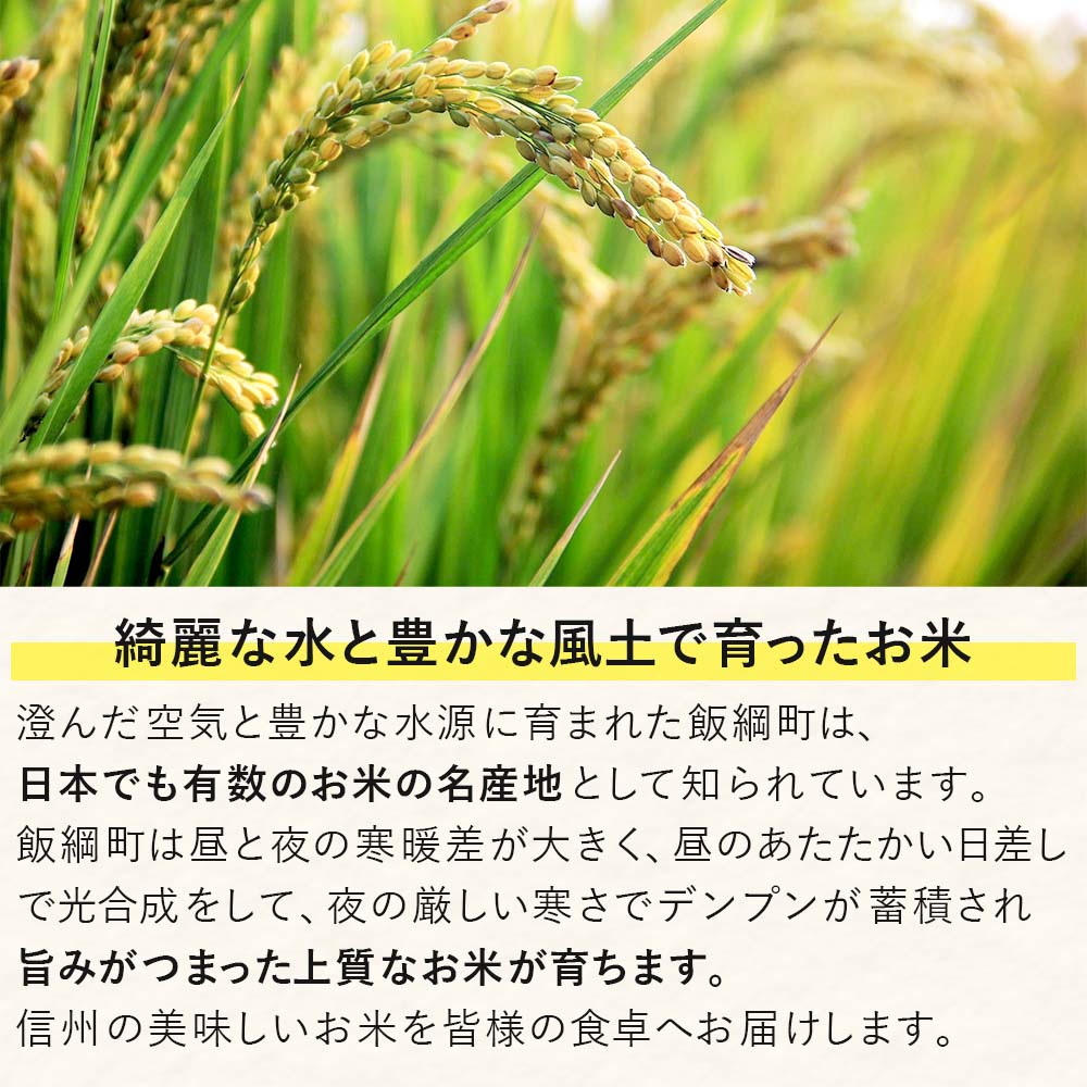 【ふるさと納税】 信州産 コシヒカリ （ 玄米 ） 30kg ヤマハチ農園 長野県 飯綱町 【 米 新米 こしひかり 信州 長野 】 【令和8年度収穫分】発送：2026年11月上旬〜 [お届け1回 (****)] - 画像2