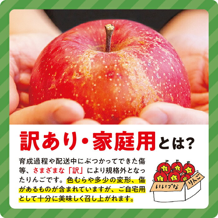 【ふるさと納税】 りんご 小ささに訳あり サンふじ 家庭用 ( 小玉 ) 5kg 大友農場 エコファーマー認定 沖縄県への配送不可 令和7年度収穫分 長野県 飯綱町 【 信州 果物 フルーツ リンゴ 林檎 長野 予約 農家直送 】発送時期：2026年1月上旬〜2026年2月末 {**} サムネイル3