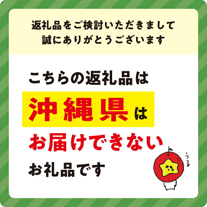 【ふるさと納税】 サンクゼール 海鮮パスタソース 【3種】 沖縄県への配送不可 長野県 飯綱町 〔 便利 ソース トマト イカスミ オマール海老 料理 パスタ 12000円 〕 サムネイル3