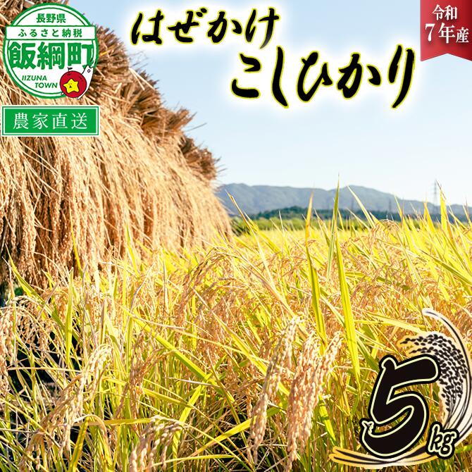 米 こしひかり 5kg ( 令和7年産 ) 黒柳さんのお米 はぜかけ 沖縄県への配送不可 長野県 飯綱町 〔 コシヒカリ 白米 精米 お米 信州 17500円 予約 農家直送 〕発送時期：2025年11月上旬〜 [お届け1回 (**)]