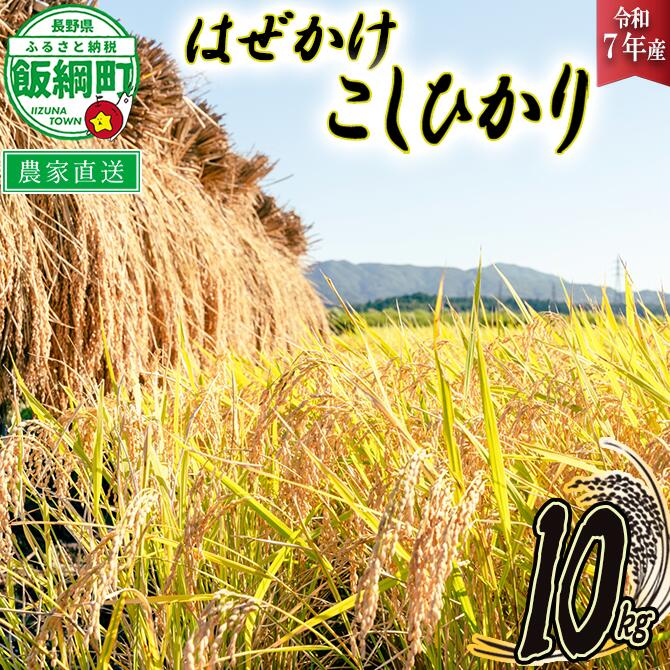 米 こしひかり 10kg ( 令和7年産 ) 黒柳さんのお米 はぜかけ 長野県 飯綱町 〔 コシヒカリ 白米 精米 お米 信州 32000円 予約 農家直送 〕発送時期：2025年11月上旬〜 [お届け1回 (***)]