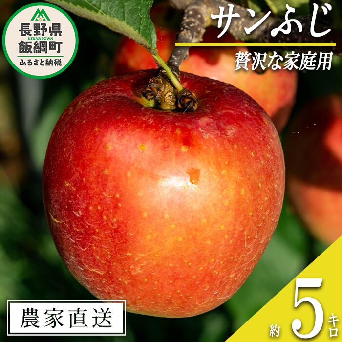 りんご サンふじ 贅沢な 家庭用 5kg 永野農園 沖縄県への配送不可 令和7年度収穫分 長野県 飯綱町 〔 信州 果物 フルーツ リンゴ 林檎 長野 予約 農家直送 18000円 〕発送時期：2025年12月上旬〜2026年2月上旬