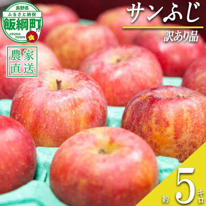 りんご サンふじ 訳あり 5kg 永野農園 沖縄県への配送不可 令和7年度収穫分 長野県 飯綱町 〔 信州 果物 フルーツ リンゴ 林檎 長野 予約 農家直送 11000円 〕発送時期：2026年1月上旬～