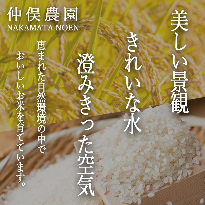 【ふるさと納税】 仲俣さんの美味しい 大豆 一人娘 約 5kg 仲俣農園 令和7年度収穫分 長野県 飯綱町 〔 信州 豆 お豆 青大豆 だいず イソフラボン 味噌 みそ 長野 21000円 予約 農家直送 〕発送時期：2026年2月中旬〜2026年4月上旬 - 画像3