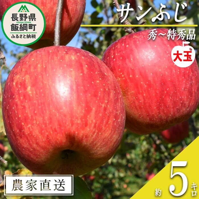 りんご サンふじ 秀 〜 特秀 ( 大玉 ) 5kg 渡辺農園 沖縄県への配送不可 令和7年度収穫分 エコファーマー認定 減農薬栽培 長野県 飯綱町 〔 信州 果物 フルーツ リンゴ 林檎 長野 17000円 予約 農家直送 〕発送時期：2025年12月上旬〜2026年1月中旬 {***}