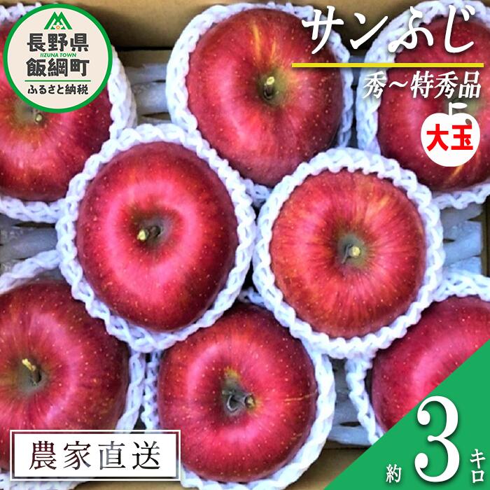 りんご 蜜入り サンふじ 秀 〜 特秀 ( 大玉 ) 3kg サイズおまかせ 井澤農園 沖縄県への配送不可 令和7年度収穫分 長野県 飯綱町 〔 信州 果物 フルーツ リンゴ 林檎 長野 20000円 予約 農家直送 〕発送時期：2025年12月上旬〜2026年1月下旬 {***}
