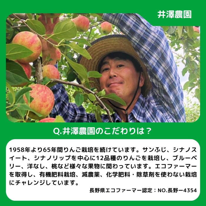 【ふるさと納税】 洋梨 ル・レクチェ 家庭用（小玉）約2kg 井澤農園 配送先は本州限定 令和7年度収穫分 長野県 飯綱町 〔 梨 洋梨 なし ナシ 信州 9000円 予約 農家直送 〕発送時期：2025年12月下旬〜2026年2月上旬 サムネイル2