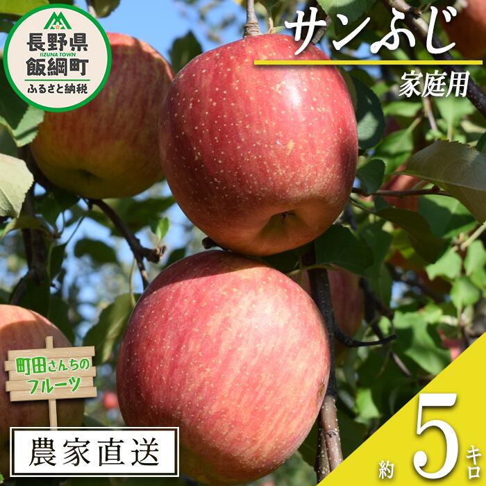りんご サンふじ 家庭用 5kg 町田さんちのりんご沖縄県への発送不可 長野県 飯綱町 〔 リンゴ 林檎 果物 フルーツ 信州 長野 14000円 予約 農家直送 〕発送期間：2026年12月上旬〜2027年2月上旬{**}